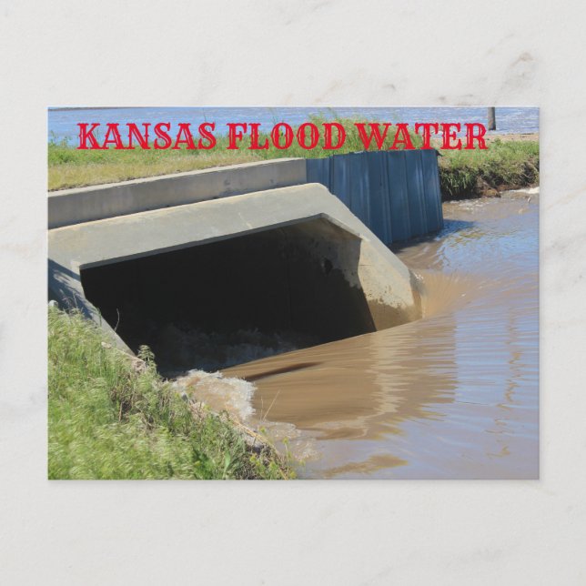 Kansas Flood water POST CARD (Front)