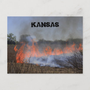 Kansas Grass Burning for New Plant Life Post Card