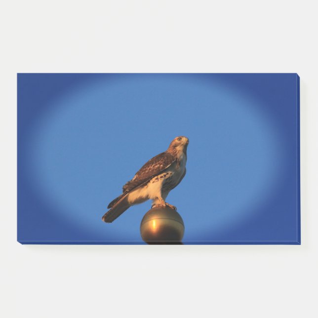 Kansas Hawk on a flag pole Post it Notes (Front)