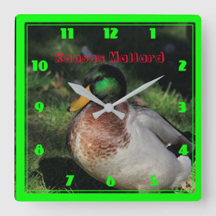 Kansas Mallard Square Wall Clock
