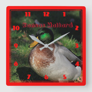 Kansas Mallard Square Wall Clock