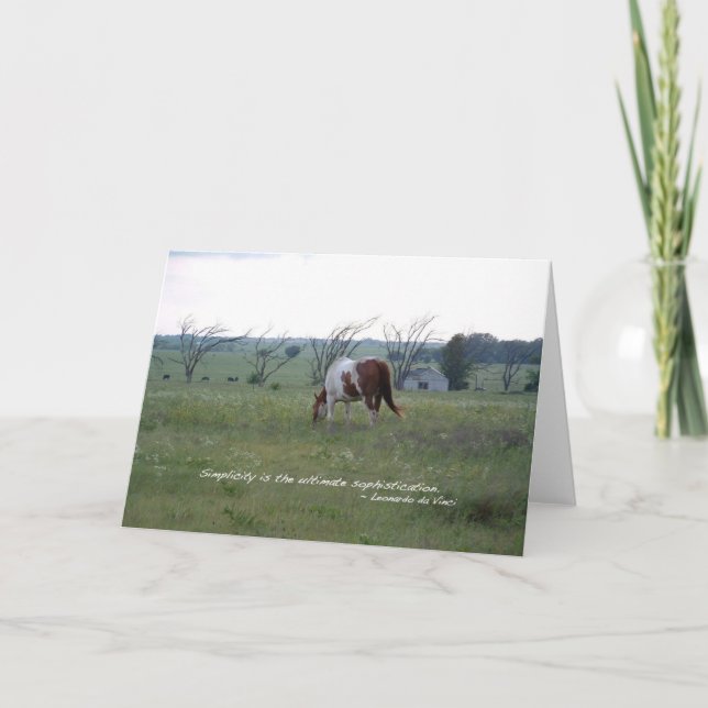 Kansas Paint Horse Card (Front)