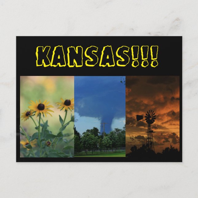 Kansas Photos Post Card (Front)