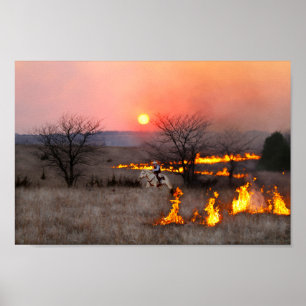 Kansas Rancher Checks Fire Line Poster