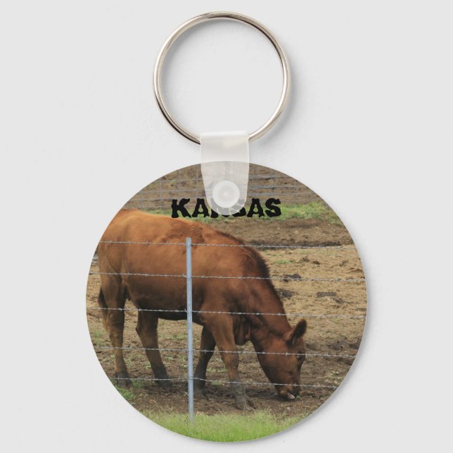 Kansas Red Angus Cow  Key Chain (Front)