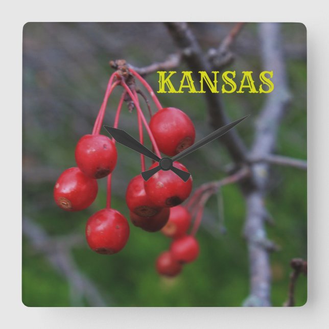 Kansas Red Cherry's closeup Square Wall Clock (Front)