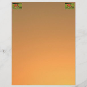 Kansas Red Horse Letter Head Custom Letterhead