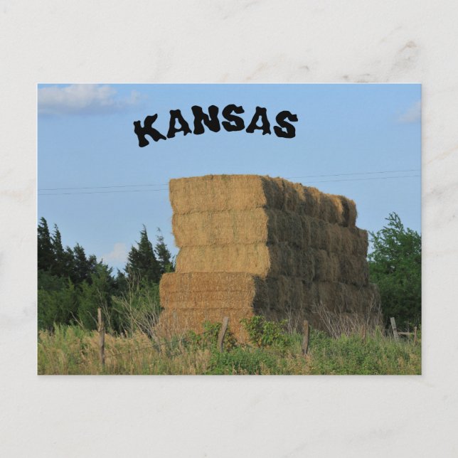 Kansas Square Hay Bales Post Card (Front)