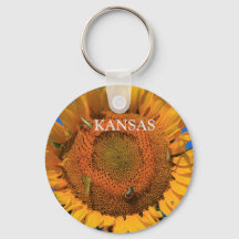 Kansas Sunflower closeup