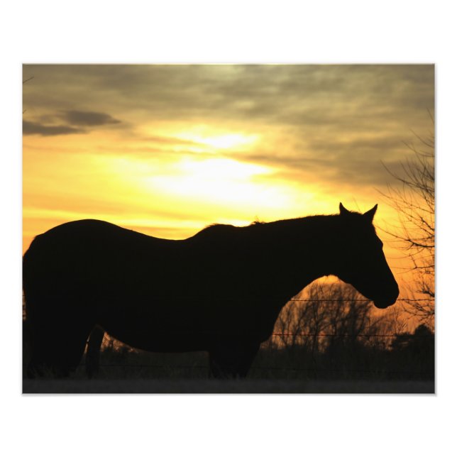 Kansas Sunset silhouette Horse in a Pasture Photo Print (Front)