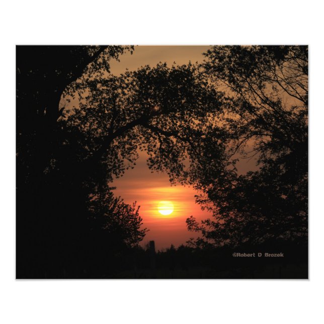 Kansas Sunset with a Tree  Photo Enlargement Print (Front)