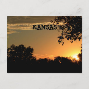 Kansas Sunset with Tree Silhouette Post Card