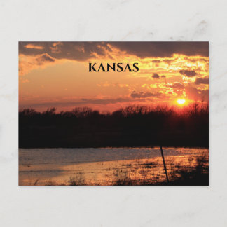 Kansas Sunset with Tree Silhouette Post Card