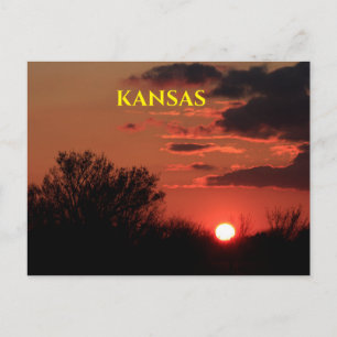 Kansas Sunset with Tree Silhouette Post Card