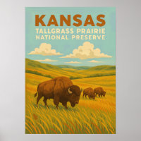 Kansas Tallgrass Prairie National Preserve V01
