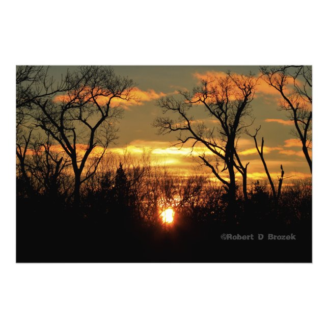 Kansas Tree Silhouettes Sunset Photo Poster. Print (Front)
