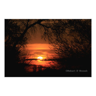Kansas Trees Sunset Photo Poster. Print