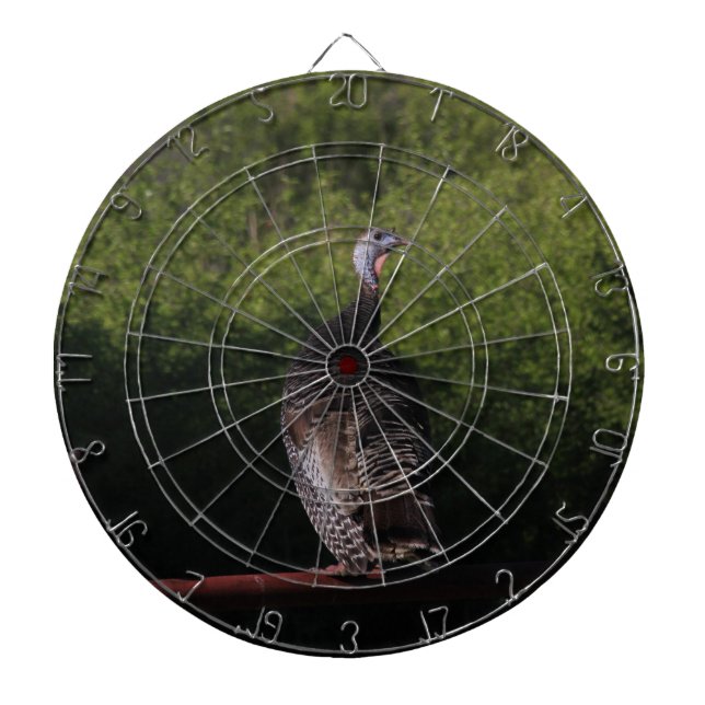 Kansas Turkey Dart Board (Front)