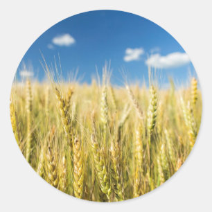 Kansas Wheat Classic Round Sticker