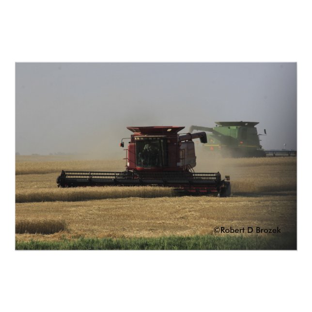 Kansas Wheat Harvest Photo Enlargement (Front)
