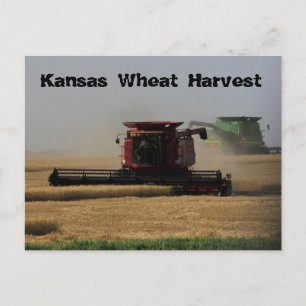 Kansas Wheat Harvest Post Card