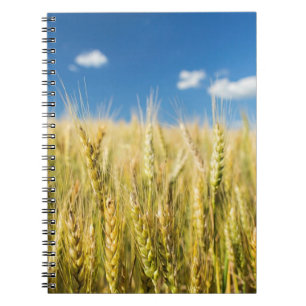 Kansas Wheat Spiral Notebook