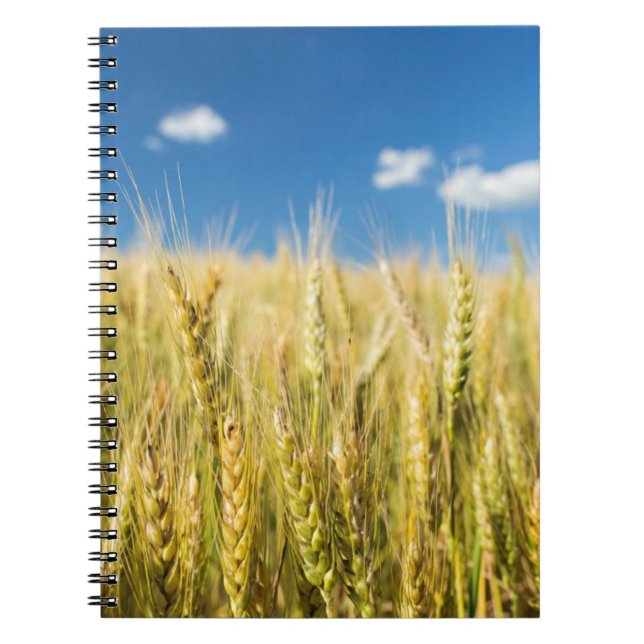 Kansas Wheat Spiral Notebook (Front)