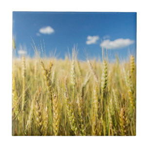 Kansas Wheat Tile