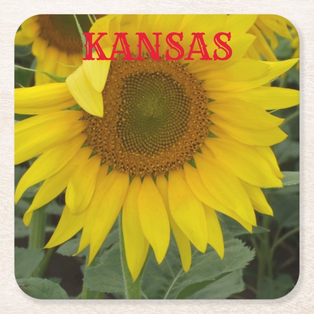 Kansas Yellow Sunflower Square Coaster (Front)