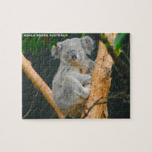 Kaola Bears Australia Jigsaw Puzzle