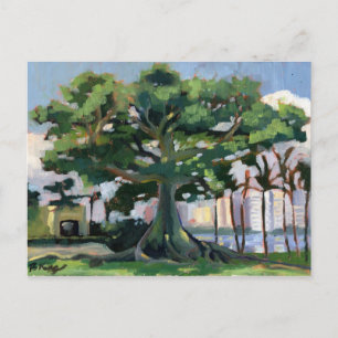 Kapok Tree postcard