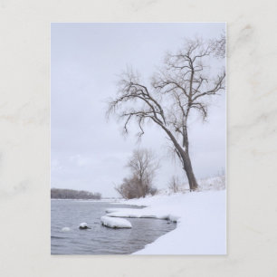 Kaposia Landing in Winter Postcard