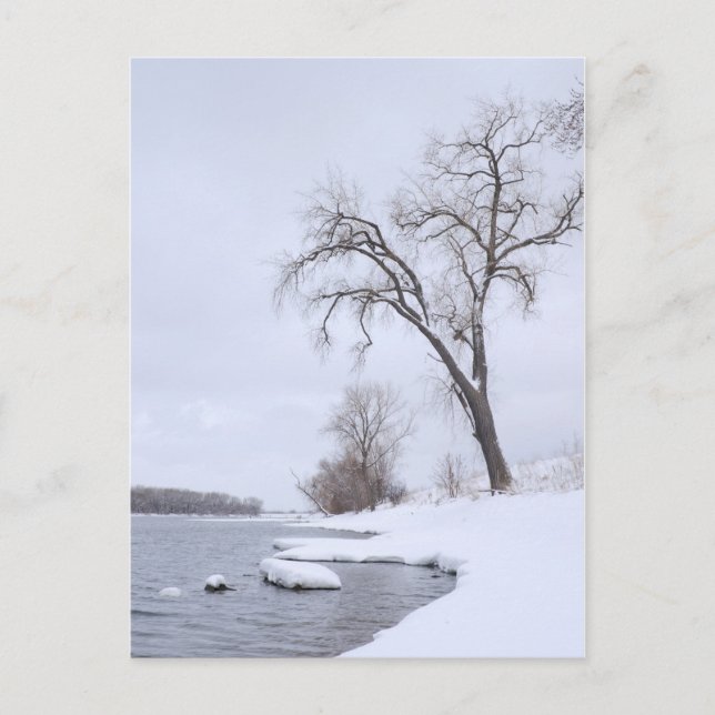 Kaposia Landing in Winter Postcard (Front)