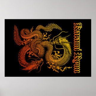 Karami Ryuu 1a Poster