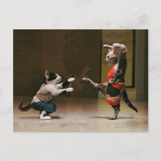 Karate cats postcard (Front)