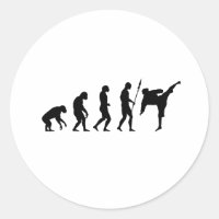karate kick evolution