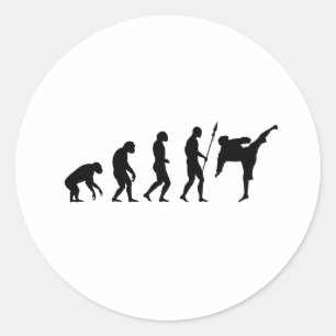 karate kick evolution classic round sticker
