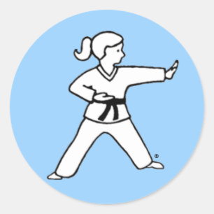 Karate Kid 4 light blue stickers