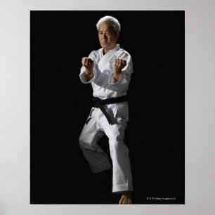 Karate master, portrait, studio shot 2 poster