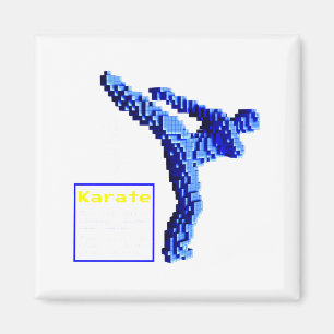 Karate T Shirt_1 Magnet