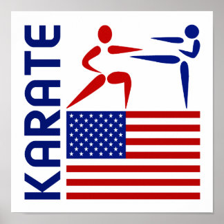 Karate United States Poster