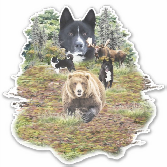 Karelian Bear Dog     (Front)
