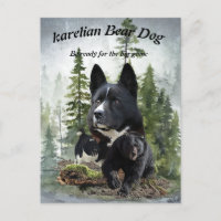 Karelian Bear Dog    