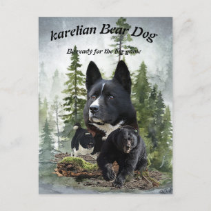 Karelian Bear Dog Postcard