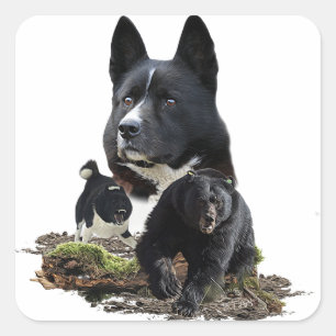 Karelian Bear Dog     Sticker