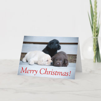 Karemy Puppy Christmas Card
