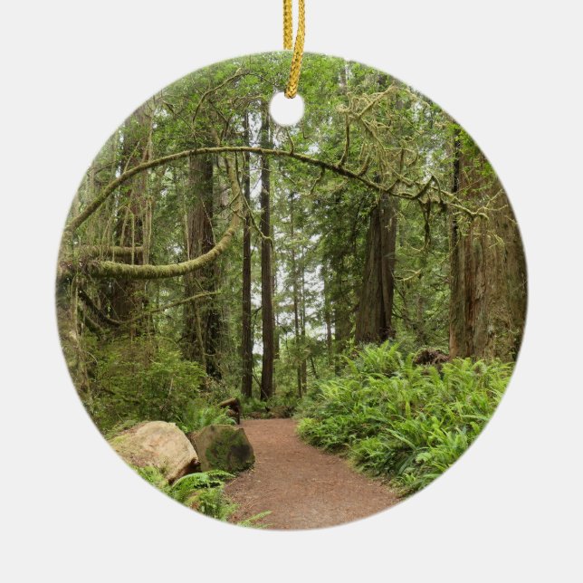 Karl Knapp Trail Ceramic Tree Decoration (Front)