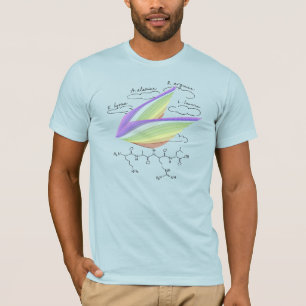 KARL peptide, AUC theme, custom text, light T-Shirt