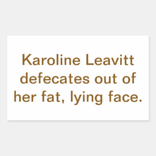Karoline Leavitt Poop-Mouth Hankamer Artjunkhaus Rectangular Sticker