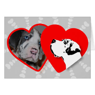 Karten für Ihre Fotos!